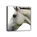 White Horse Mini Canvas 4  x 4  (Stretched)