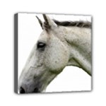 White Horse Mini Canvas 6  x 6  (Stretched)
