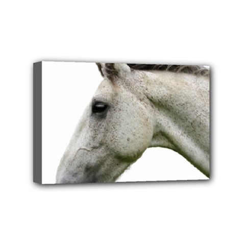 White Horse Mini Canvas 6  x 4  (Stretched) from ArtsNow.com