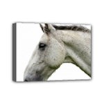 White Horse Mini Canvas 7  x 5  (Stretched)