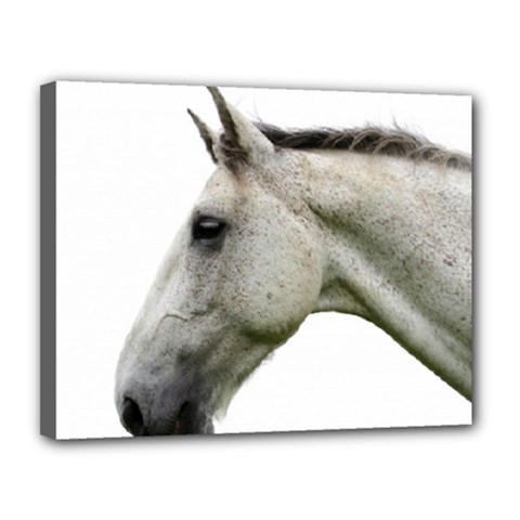 White Horse Canvas 14  x 11  (Stretched) from ArtsNow.com
