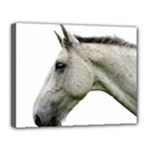 White Horse Canvas 14  x 11  (Stretched)