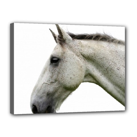 White Horse Canvas 16  x 12  (Stretched) from ArtsNow.com