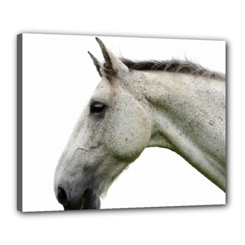 White Horse Canvas 20  x 16  (Stretched) from ArtsNow.com