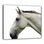 White Horse Canvas 24  x 20  (Stretched)