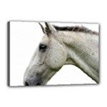 White Horse Canvas 18  x 12  (Stretched)