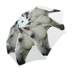 Folding Umbrella 