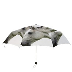 Folding Umbrella 