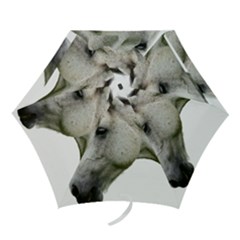 Mini Folding Umbrella 