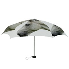 Mini Folding Umbrella 