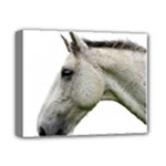 White Horse Deluxe Canvas 14  x 11  (Stretched)