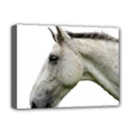 White Horse Deluxe Canvas 16  x 12  (Stretched) 