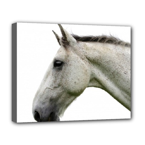 White Horse Deluxe Canvas 20  x 16  (Stretched) from ArtsNow.com