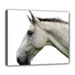 White Horse Deluxe Canvas 24  x 20  (Stretched)