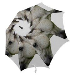 Hook Handle Umbrella (Medium) 
