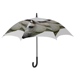 Hook Handle Umbrella (Medium) 