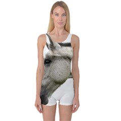 One Piece Boyleg Swimsuit 