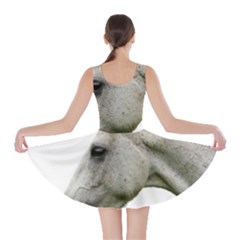 Skater Dress 