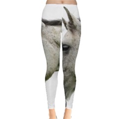 Everyday Leggings  Front