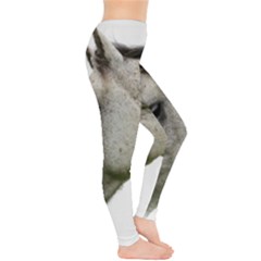 Everyday Leggings  