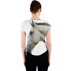 Crew Neck Crop Top 