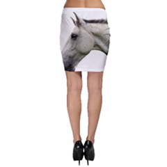 Bodycon Skirt 