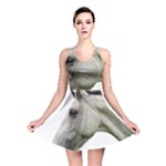 White Horse Reversible Skater Dress