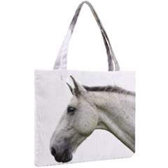 Mini Tote Bag 