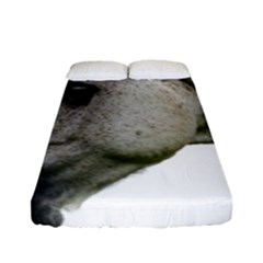 Fitted Sheet (Full/ Double Size) 