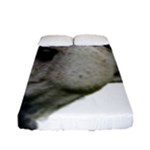 White Horse Fitted Sheet (Full/ Double Size)