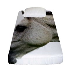 Fitted Sheet (Single Size) 