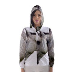 Women s Hooded Windbreaker 