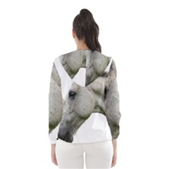 Women s Hooded Windbreaker 