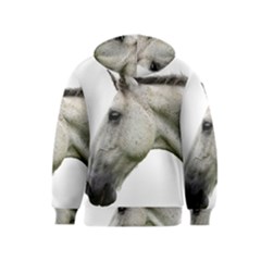Kids  Pullover Hoodie 