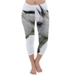 White Horse Capri Winter Leggings 