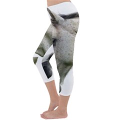 Capri Winter Leggings Back Capri Winter Leggings Back