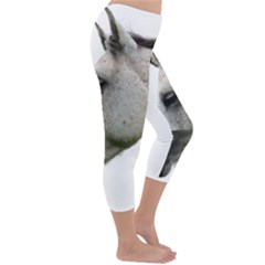 Capri Winter Leggings  