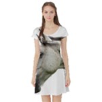 White Horse Short Sleeve Skater Dress