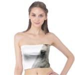 White Horse Tube Top