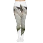 White Horse Tights