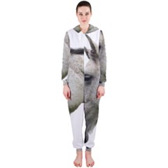 Hooded Jumpsuit (Ladies) 