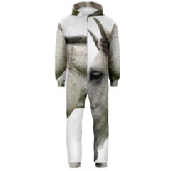 Hooded Jumpsuit (Men) 