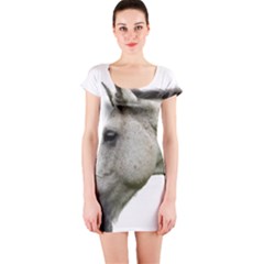 Short Sleeve Bodycon Dress Front Short Sleeve Bodycon Dress Front