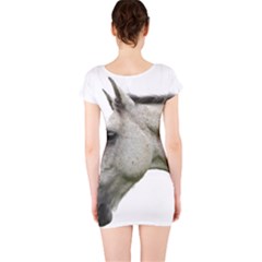 Short Sleeve Bodycon Dress Back Short Sleeve Bodycon Dress Back