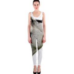 One Piece Catsuit 