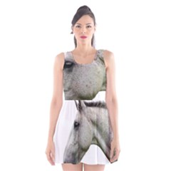 Scoop Neck Skater Dress 