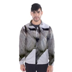 Men s Windbreaker 