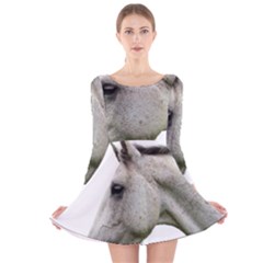 Long Sleeve Velvet Skater Dress 
