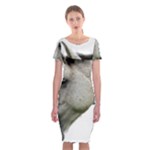 White Horse Classic Short Sleeve Midi Dress