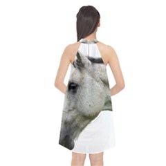 Halter Neckline Chiffon Dress  